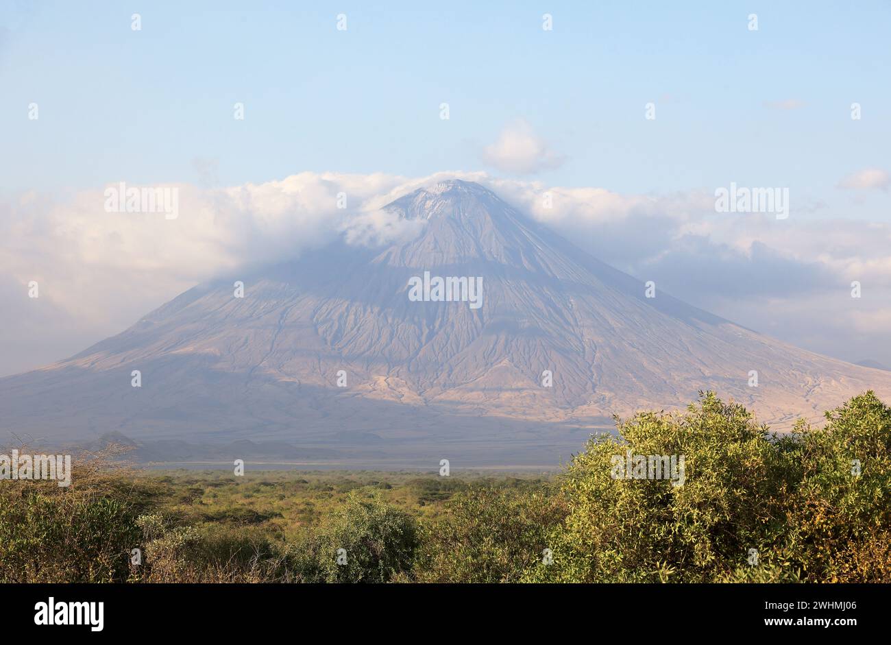 Ol Doinyo Lengai Mountain in der Savanne von Tansania, Afrika Stockfoto
