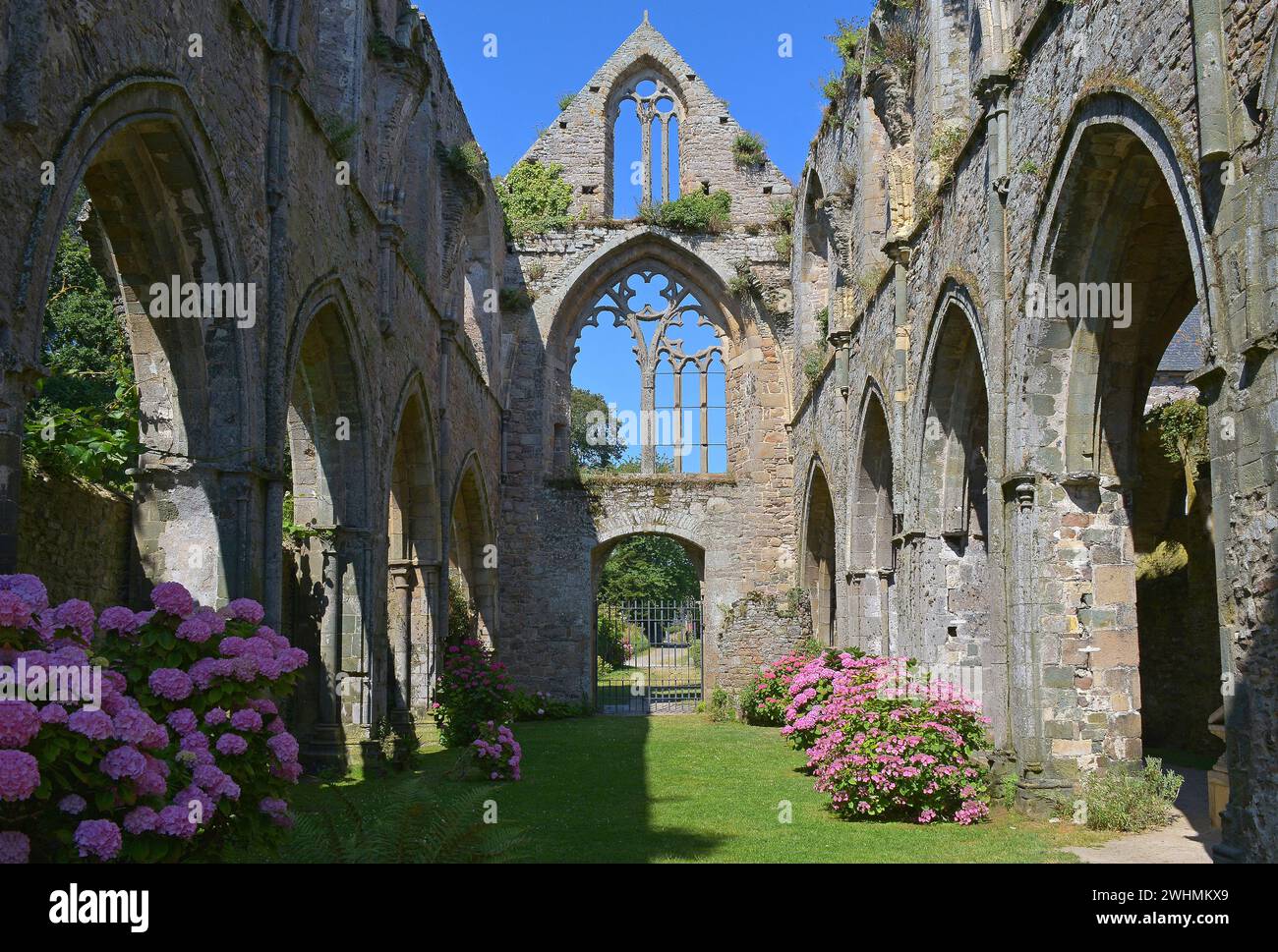 Abbey de Beauport, Bretagne, Frankreich Stockfoto