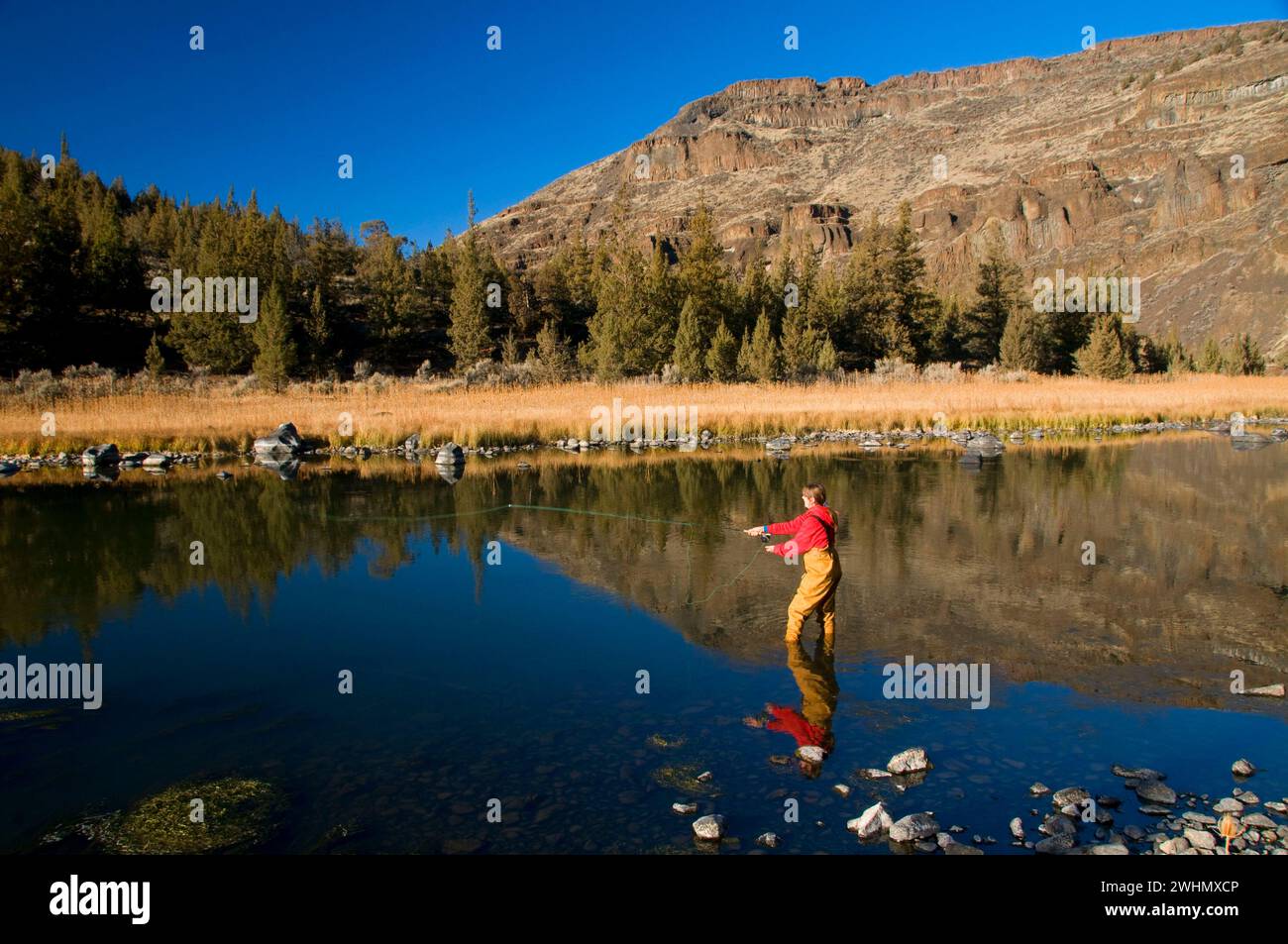 Fliegenfischen, Crooked Wild und Scenic River, Lower Crooked River National Backcountry Byway, Oregon Stockfoto