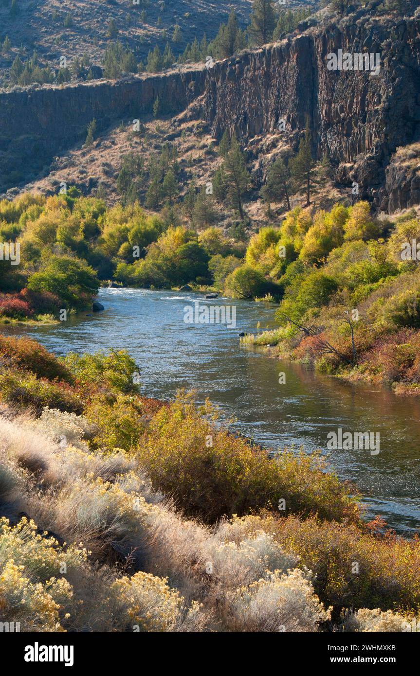 Wild und Scenic Deschutes River von Scout Camp Trail, Steelhead fällt Wildnis Studie, Prineville Bezirk Büro des Land-Managements, Oregon Stockfoto