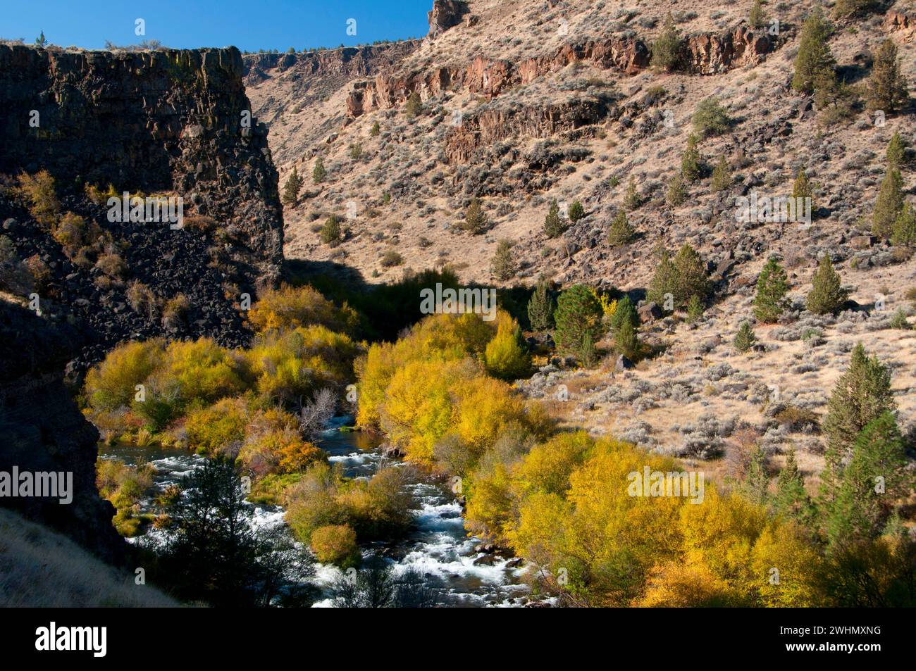 Wild und Scenic Deschutes River von Scout Camp Trail, Steelhead fällt Wildnis Studie, Prineville Bezirk Büro des Land-Managements, Oregon Stockfoto