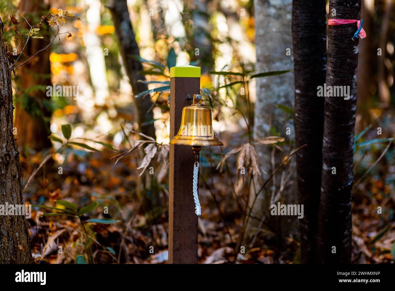 Eine Glocke innerhalb eines Waldweges, um sie zu läuten, sollte in der Nähe ein wilder Bär gesehen werden. Stockfoto