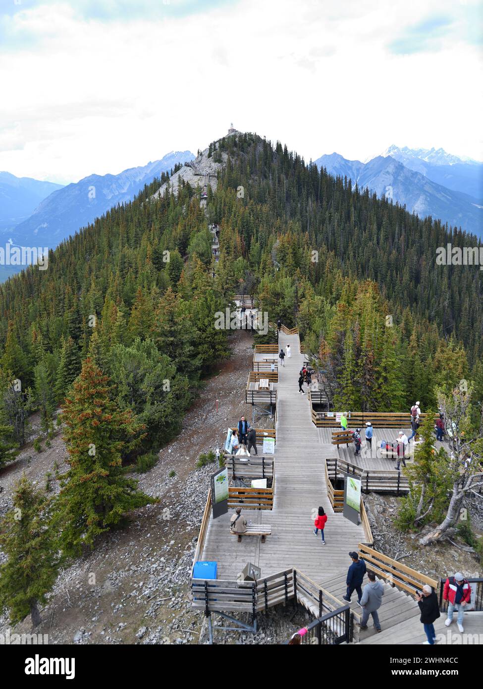 Der Sulphur Mountain Peak im Banff National Park ist über eine Wanderung oder Gondel erreichbar, mit Aussichtsplattformen. Stockfoto