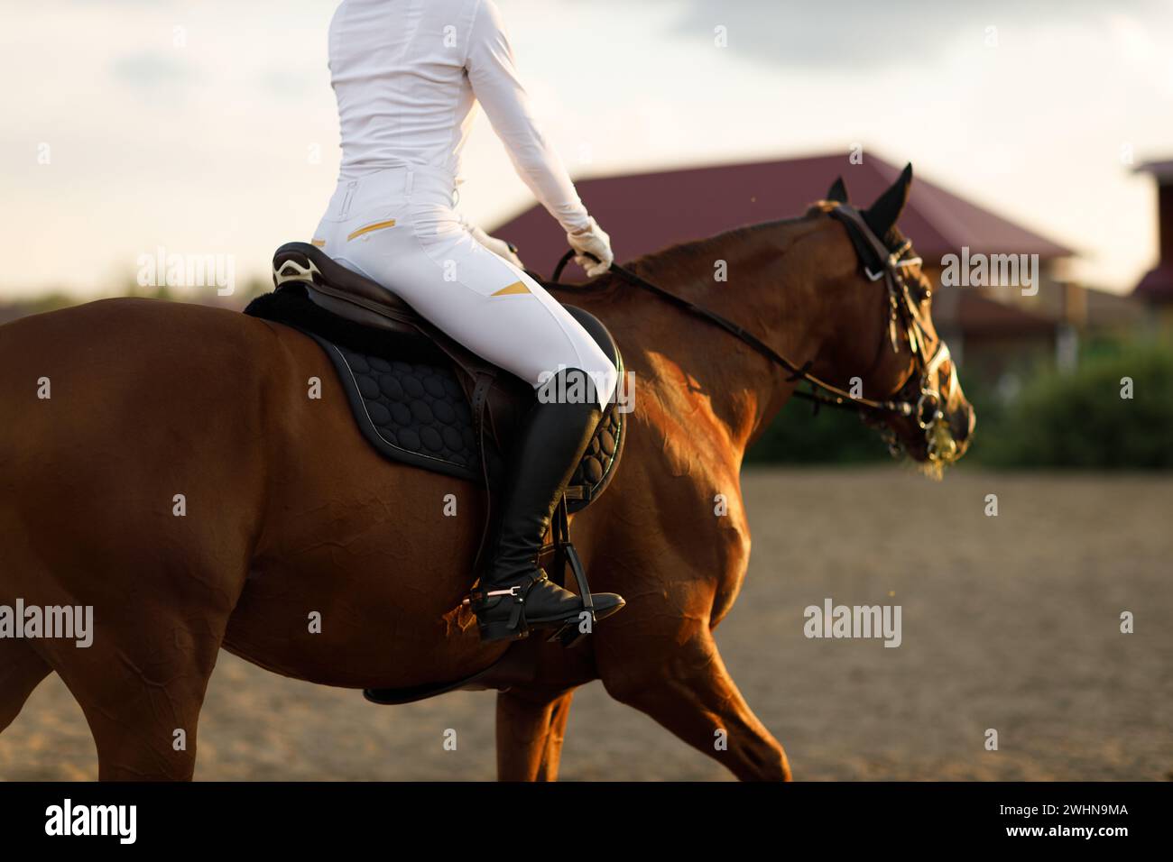 Jockey in Helm und weißer Uniform, die Pferderennen vorbereiten. Stockfoto