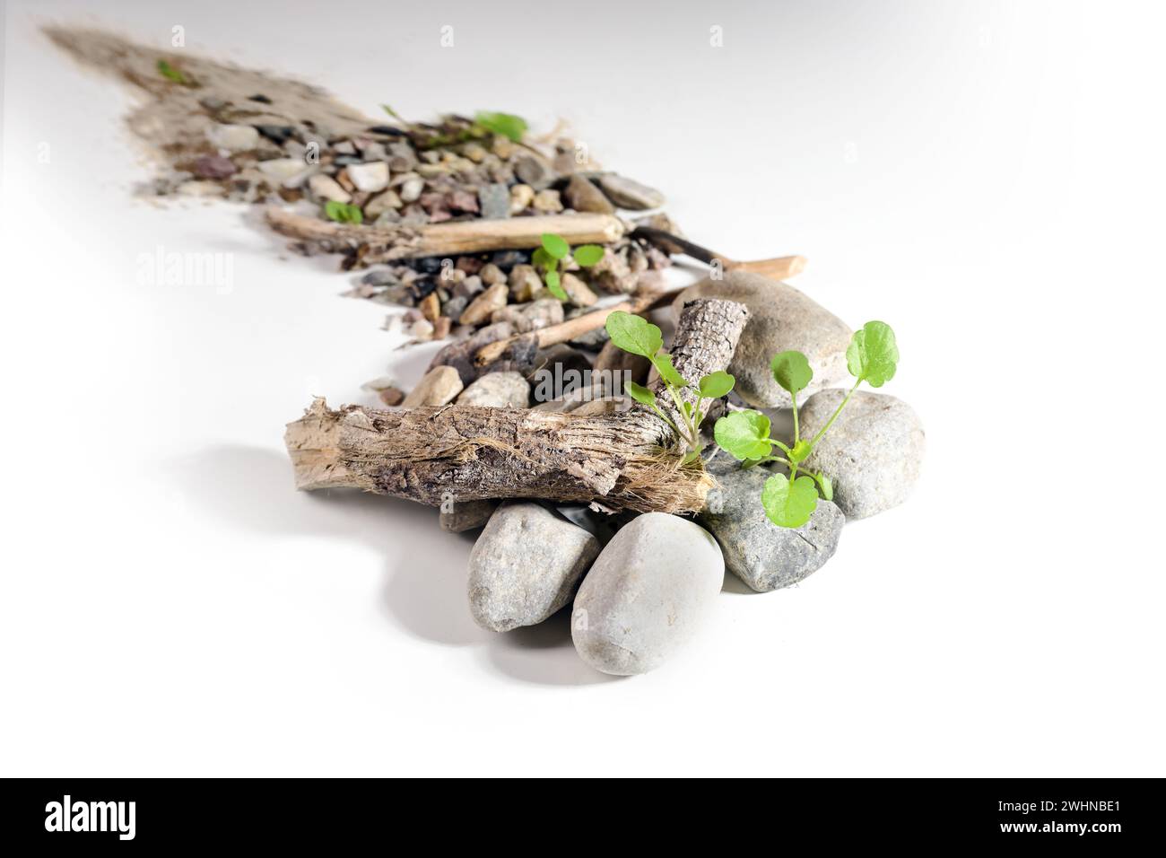 Lebenslauf oder Geschäftsmetapher dargestellt mit Sand, Kieselsteinen und Holz mit wachsenden Setzlingen dazwischen, Konzept zur Steigerung Stockfoto