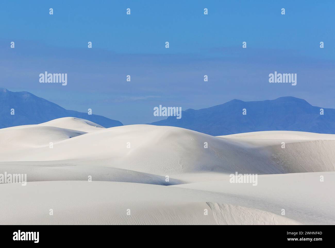 Der White Sands National Park in New Mexico ist ein Nationalpark-ähnliches Naturschutzgebiet am nördlichen Ende der Chihuahua-Wüste in Mexi Stockfoto