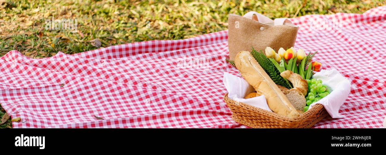 Picknick Mittagessen im Freien Park mit Essen Picknickkorb. Genießen Sie Picknick-Zeit im Park Natur im Freien Stockfoto