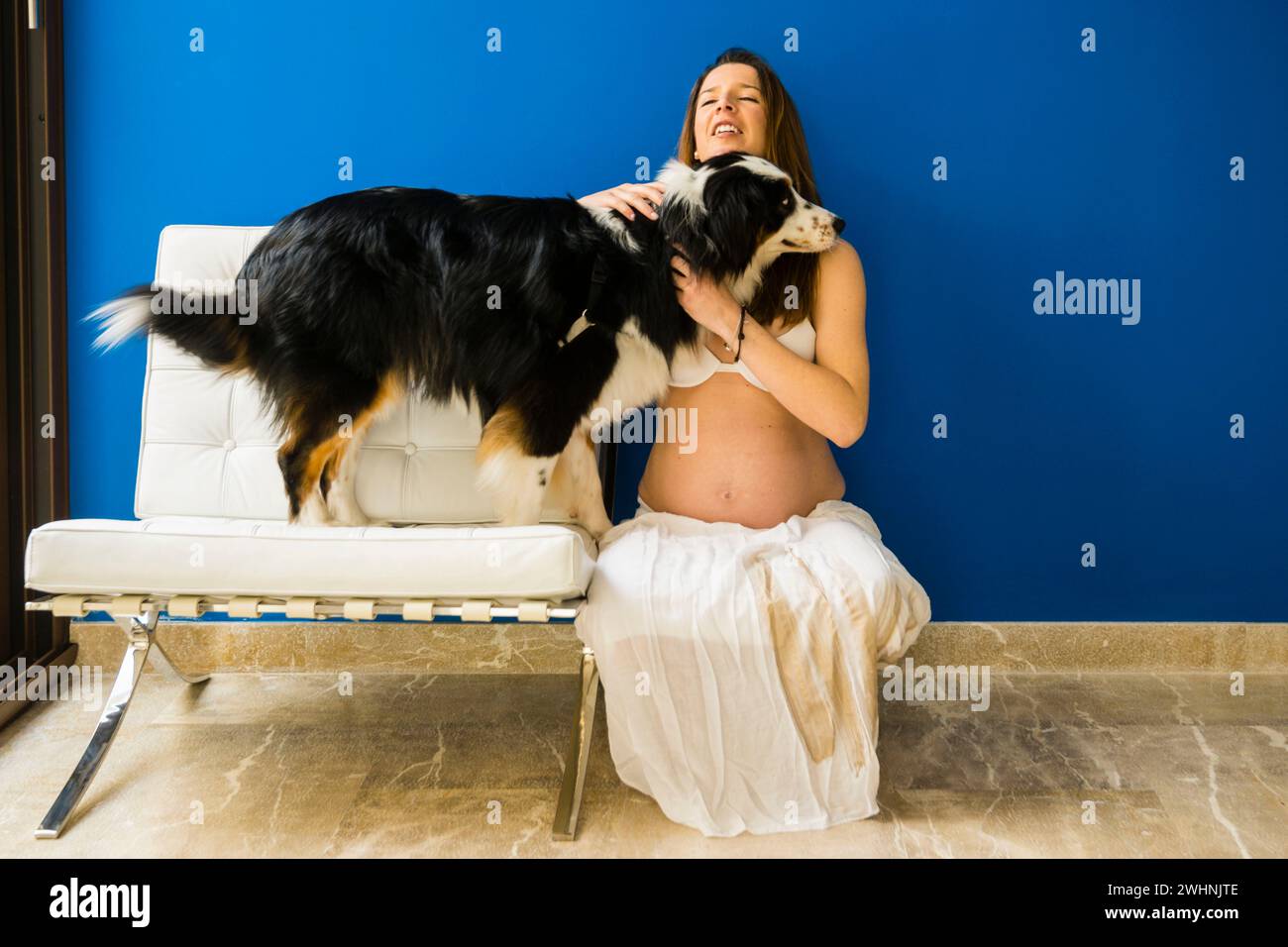 Mujer embarazada y un perro. Mallorca Stockfoto