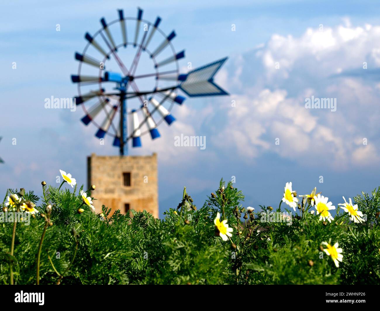 Molinos para extraccion de Agua (s.XIX-XX). Cami de Sa pedra rodona.Campos.Comarca de Migjorn. Mallorca. Baleares.EspaÃ±a. Stockfoto