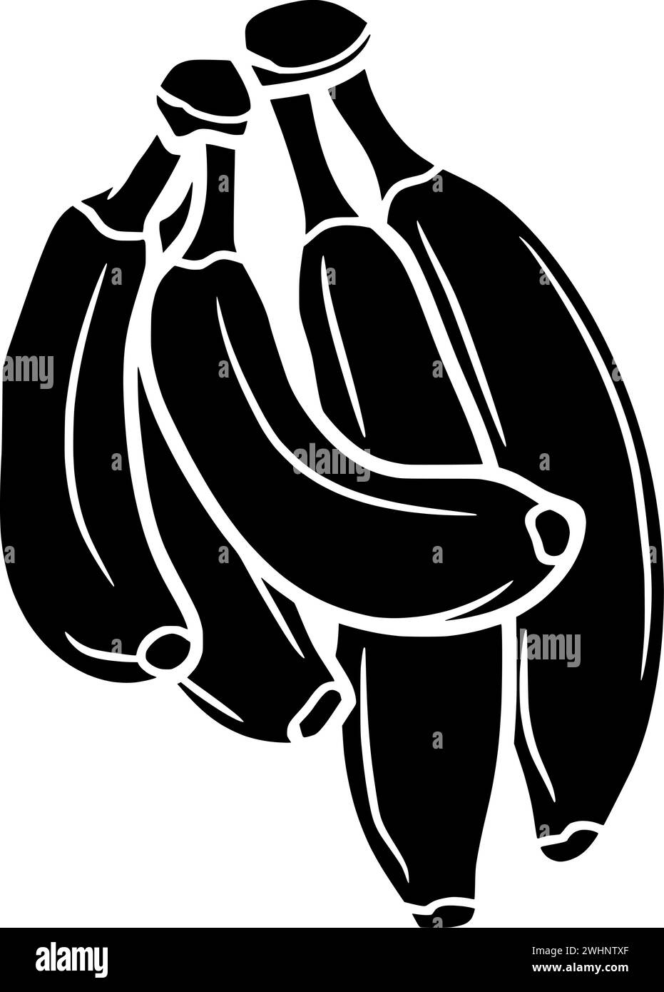 Frucht Illustration Lebensmittel Silhouette tropisches Logo Banane Icon Baum Umriss Pflanze Natur Garten reif grün gesund natürliche Bauernhof Form Bunch wachsen Stock Vektor