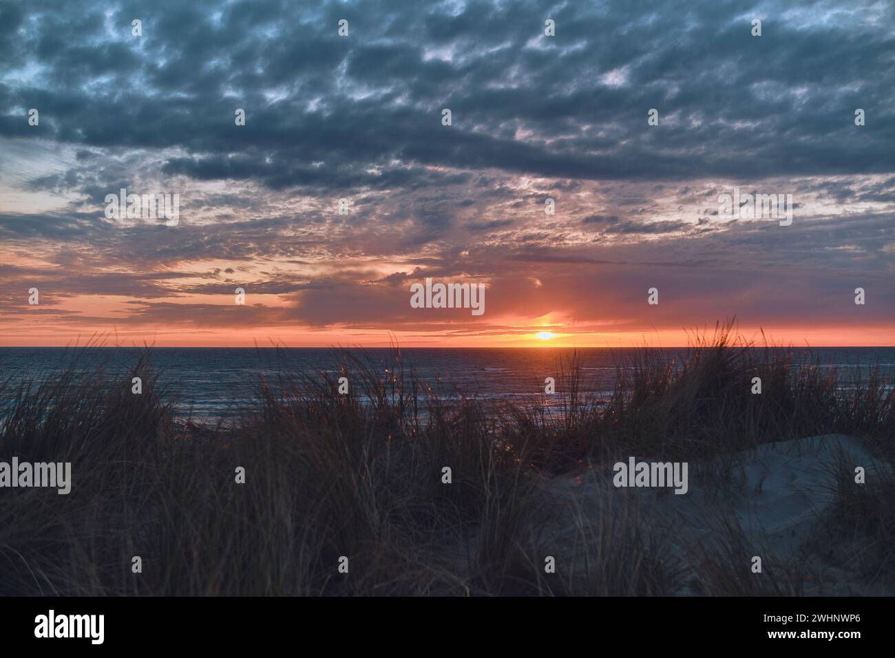 Sonnenuntergang und Dünen an der Küste Stockfoto