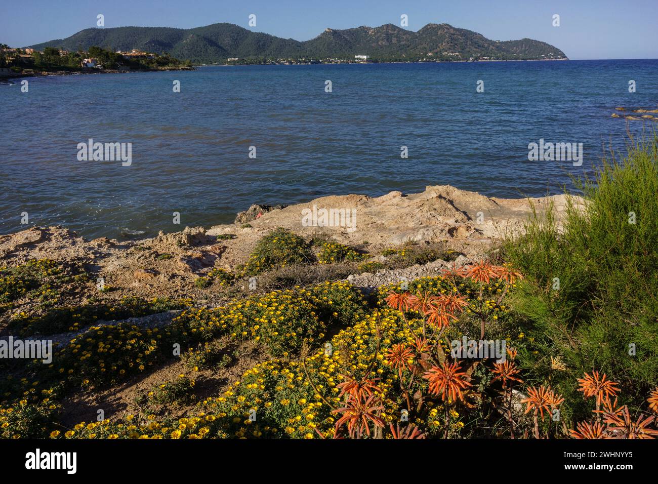 Cala Bona-Costa de los Pinos. Son Servera.Mallorca.Islas Baleares. EspaÃ±a. Stockfoto