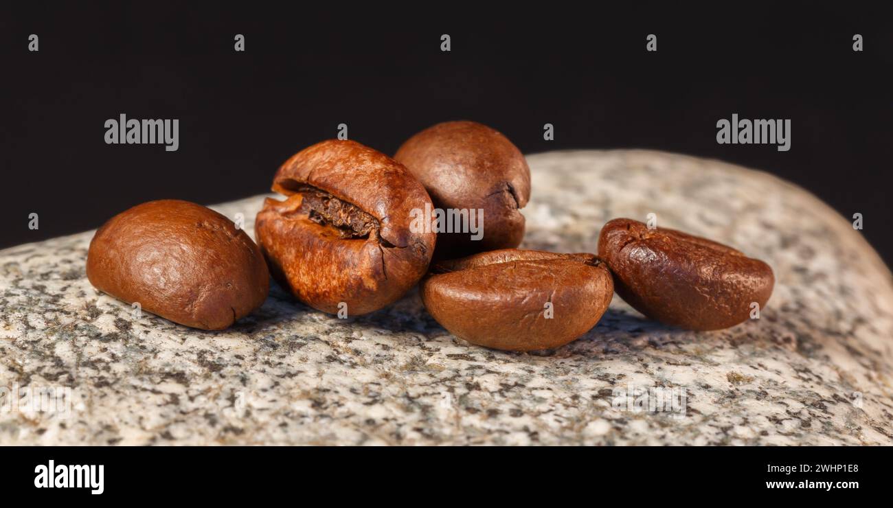Kaffeebohnen liegen auf einem Stein. Makrofotografie. Stockfoto