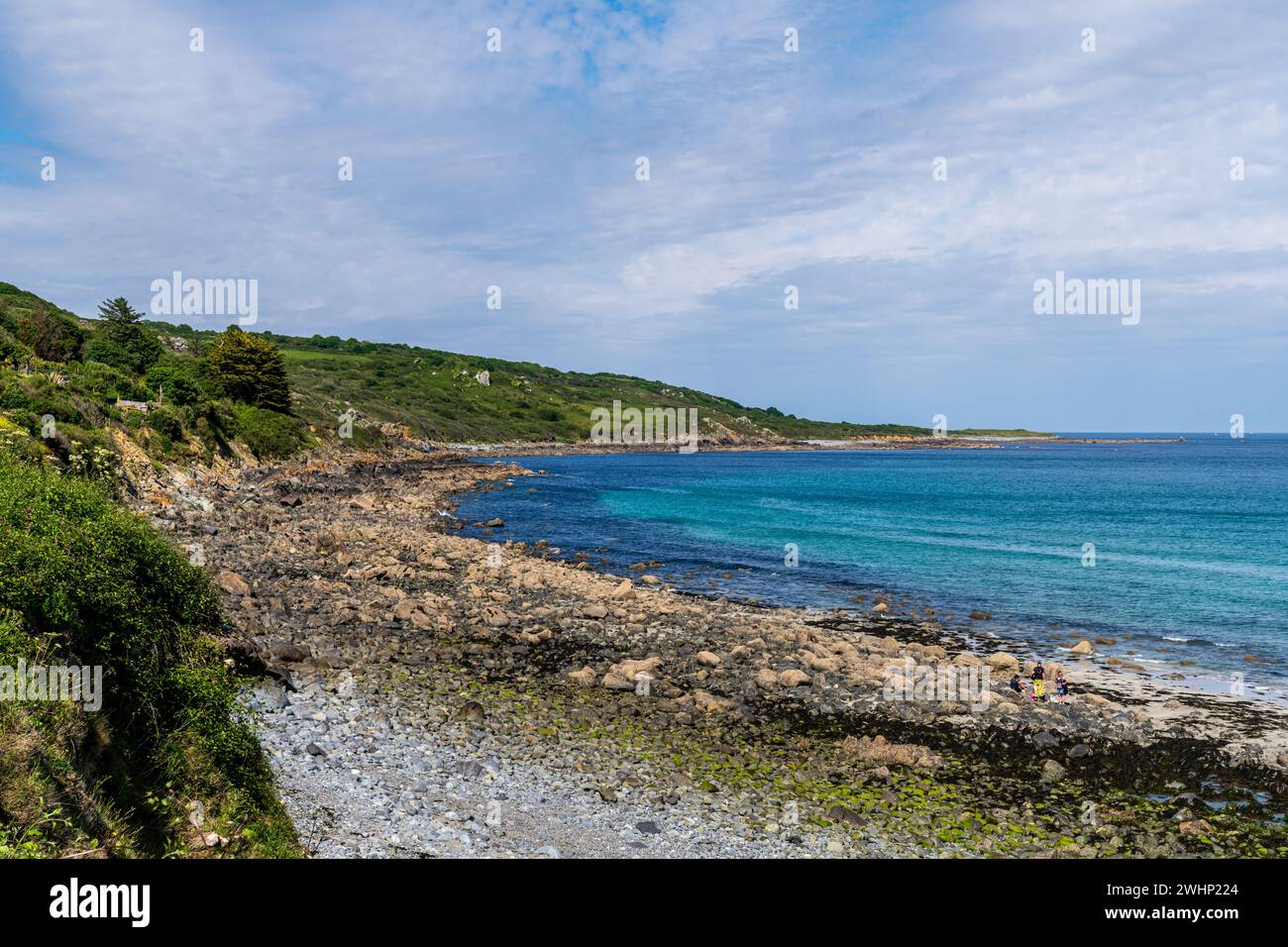 Coverack, Cornwall, England, Großbritannien - 3. Juni 2022: Blick auf die Küste und Coverack Cove Stockfoto