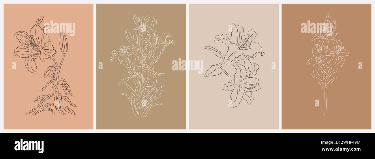 One Line Drawing Vector Lily Flowers Print Set Stock Vektor