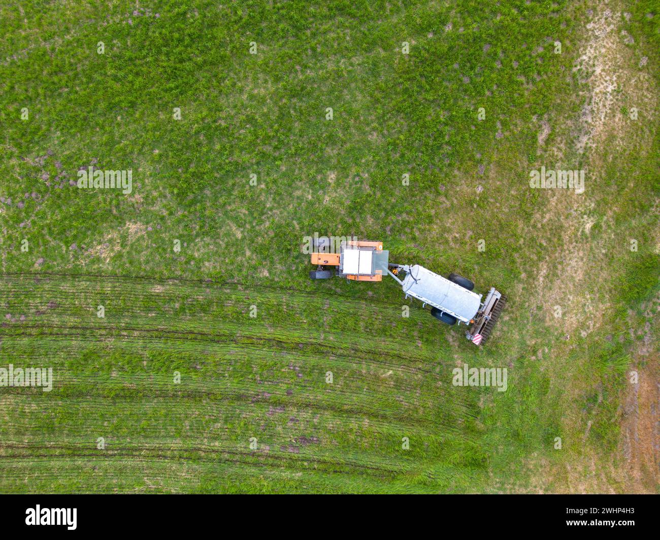 Luftaufnahme des Traktors, Mähdrescherbearbeitungsfeld. Drohnenaufnahme. Bild mit Platz für Text. Ackerland von oben Stockfoto