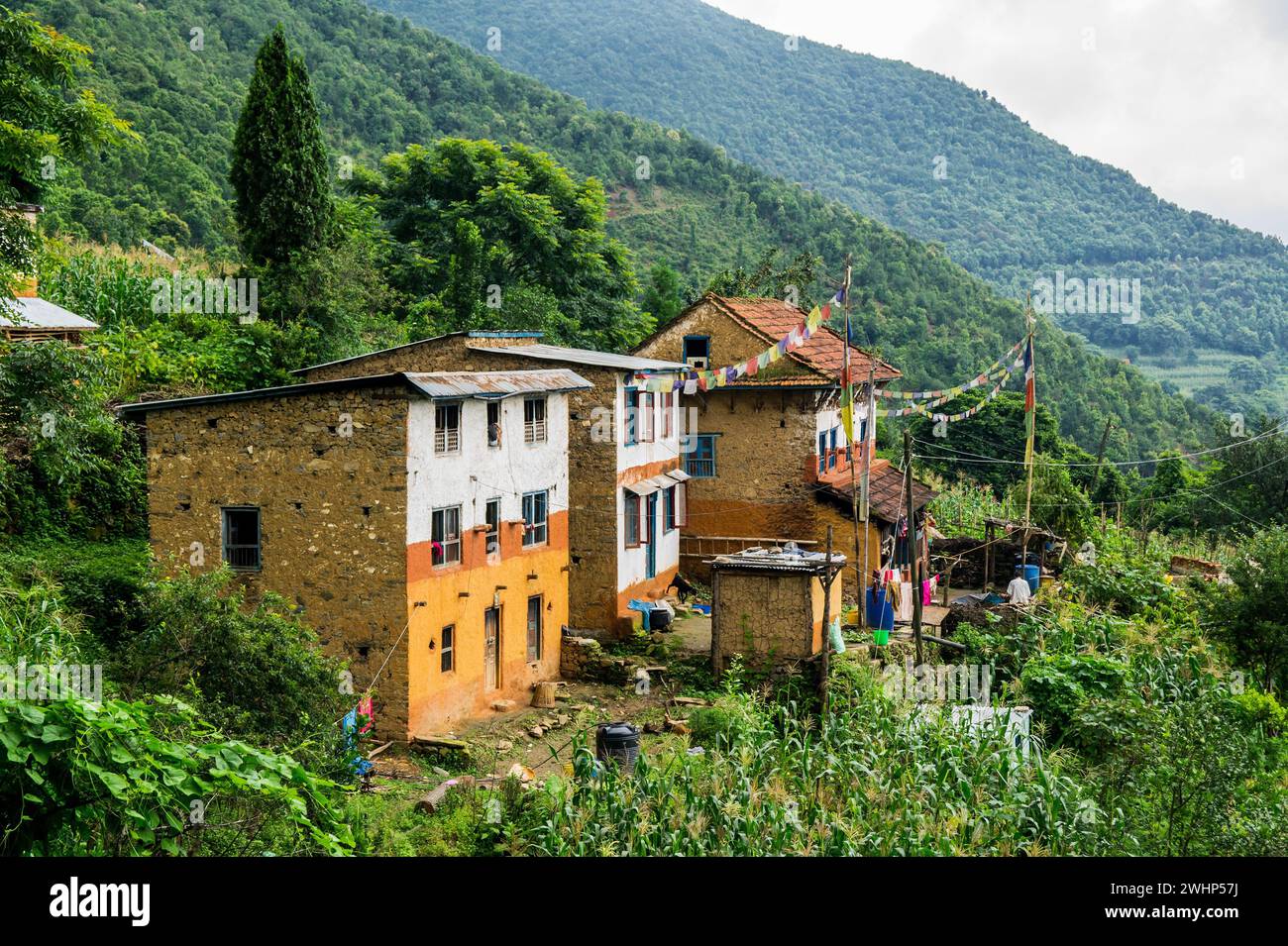 Poerty und Wohnungen in Nepal in der Nähe des Taudaha Sees Stockfoto