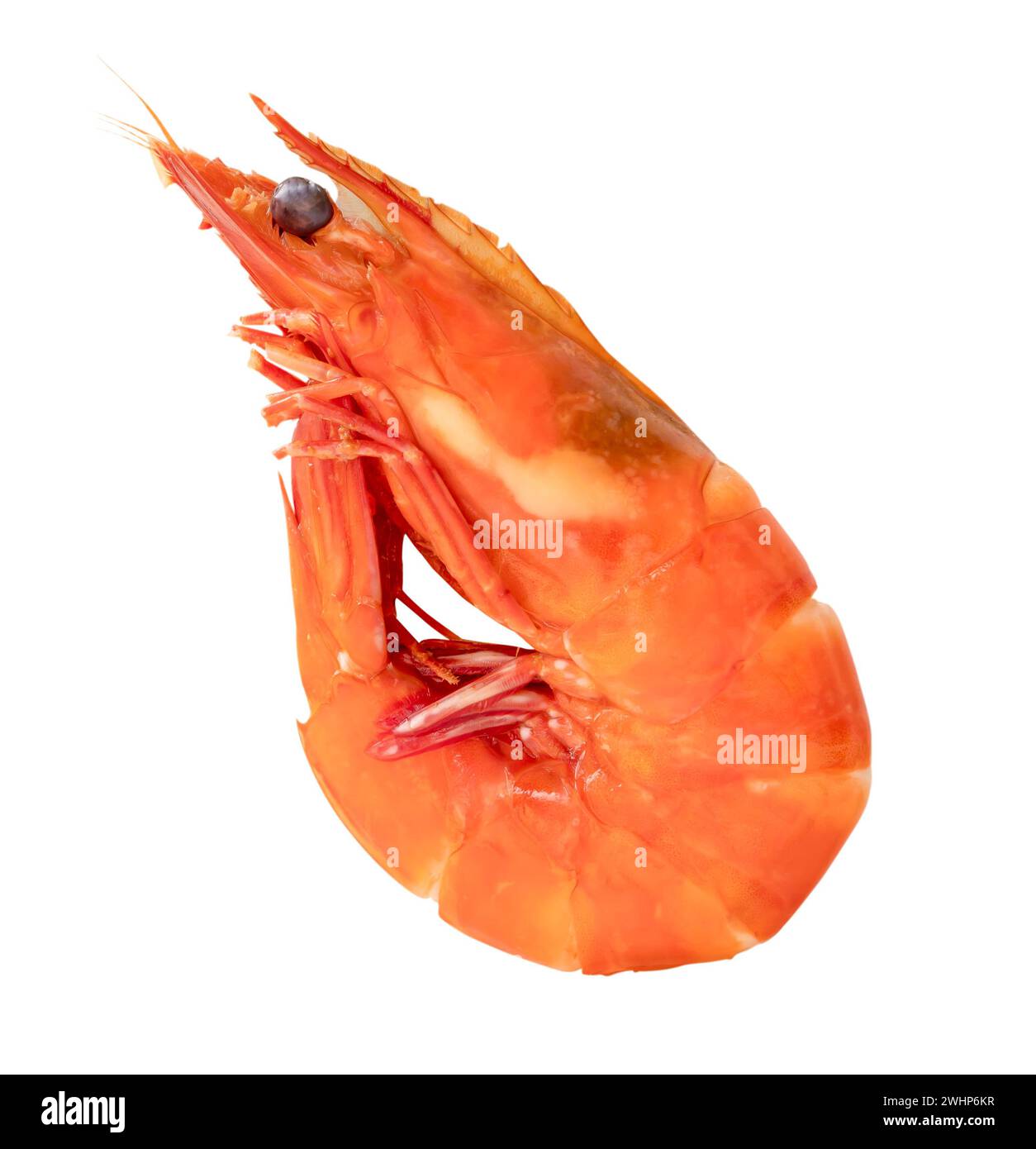 Rot gekochte oder gedämpfte Garnelen oder Garnelen sind auf weißem Hintergrund mit Schnittpfad isoliert. Stockfoto