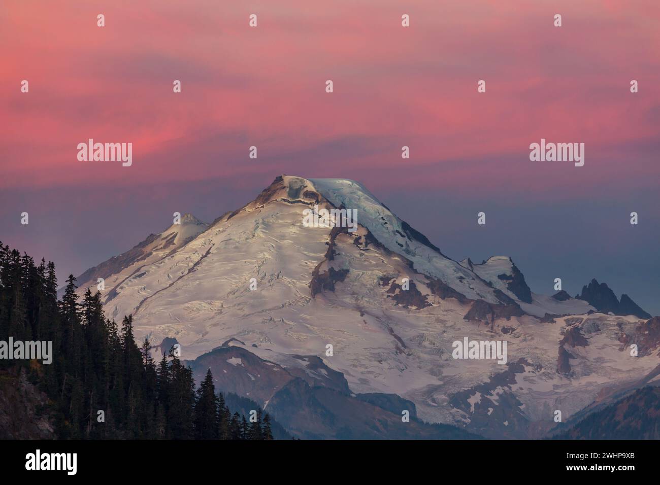 Mount Baker ist ein 3286 m hoher Stratovulkan mit einem eisbedeckten Gipfel in der Kaskadenkette in Washington (Whatcom Count) Stockfoto