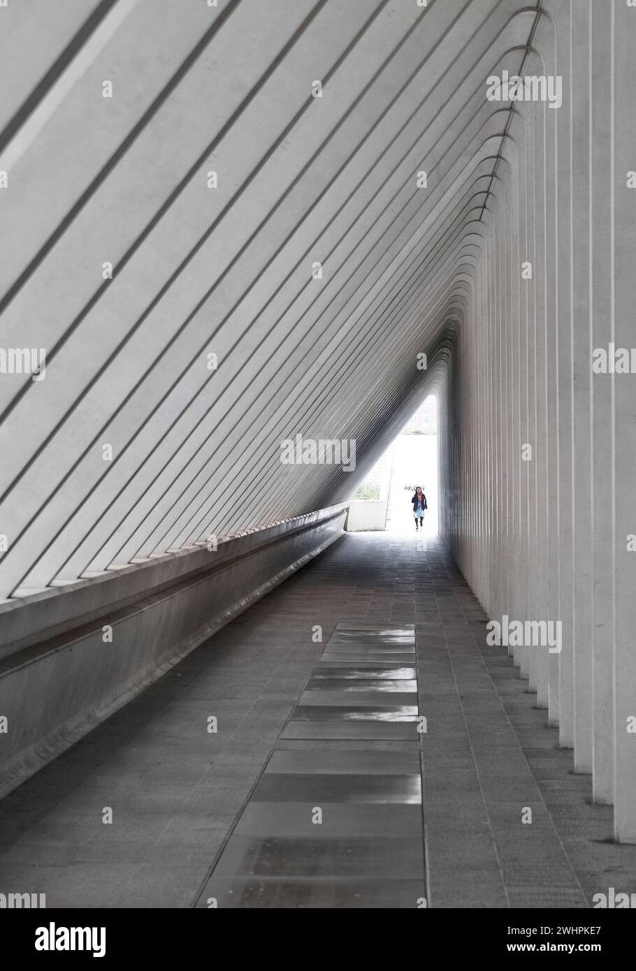 Gang im Bahnhof LiÃ¨ge-Guillemins, Architekt Santiago Calatrava, LiÃ¨ge, Belgien, Europa Stockfoto