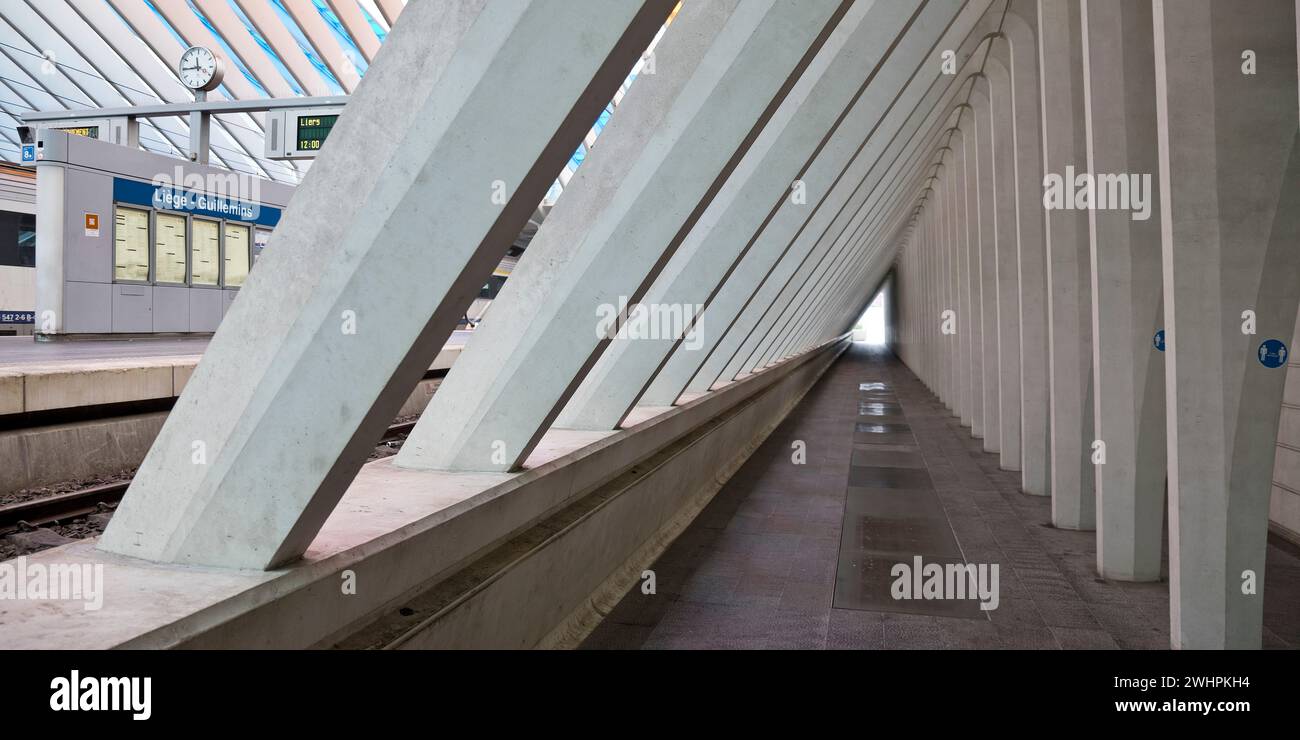 Gang im Bahnhof LiÃ¨ge-Guillemins, Architekt Santiago Calatrava, LiÃ¨ge, Belgien, Europa Stockfoto