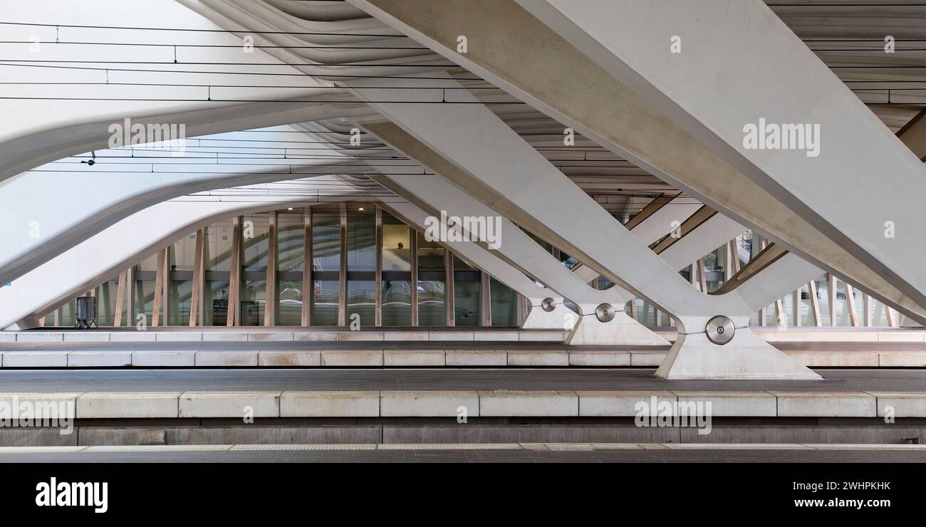 Bahnhof LiÃ¨ge-Guillemins, moderne Architektur, LiÃ¨ge, Wallonien, Belgien, Europa Stockfoto