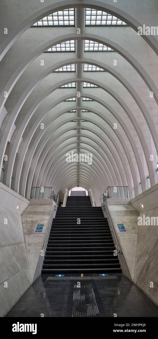 Treppen im Bahnhof LiÃ¨ge-Guillemins, moderne Architektur, Lüttich, Wallonien, Belgien, Europa Stockfoto