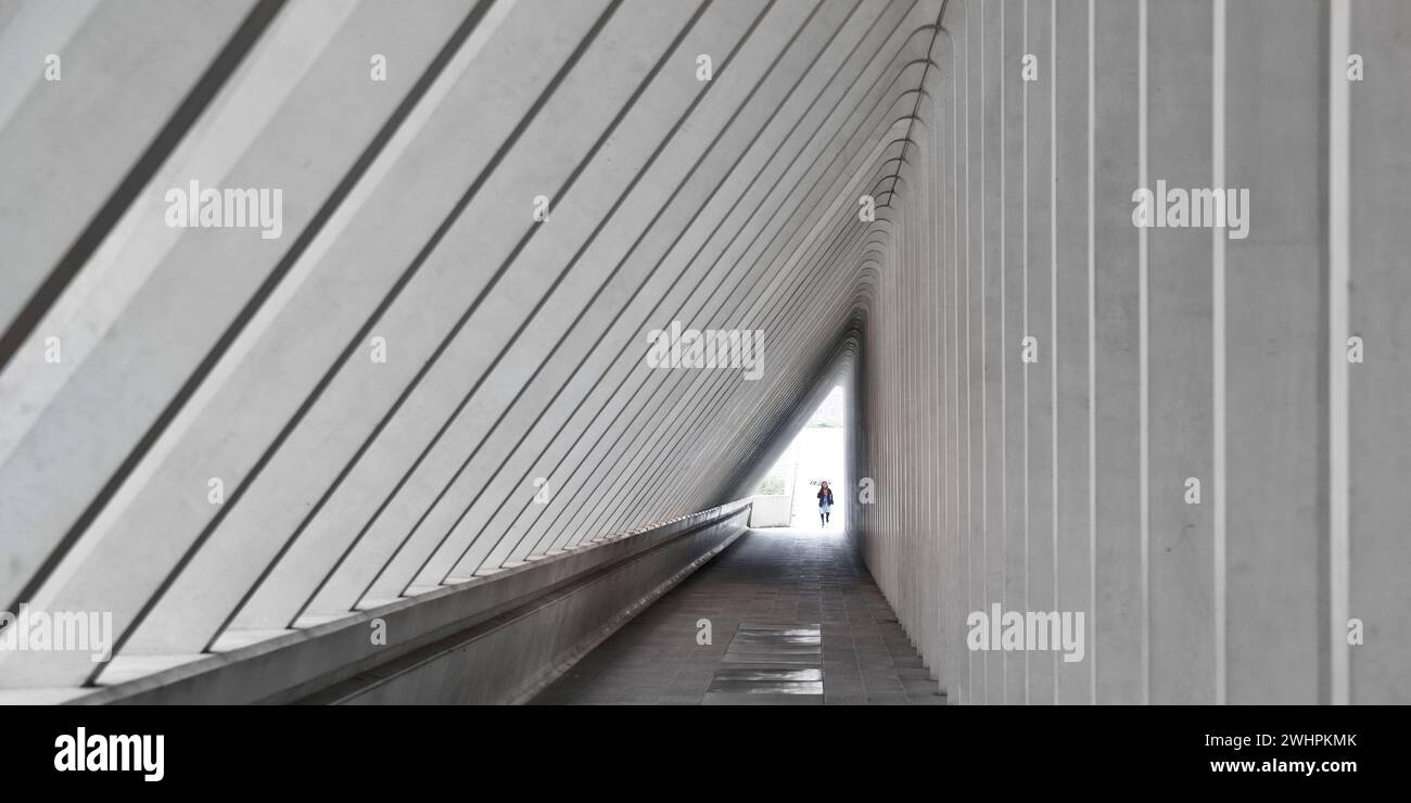 Gang im Bahnhof LiÃ¨ge-Guillemins, Architekt Santiago Calatrava, LiÃ¨ge, Belgien, Europa Stockfoto