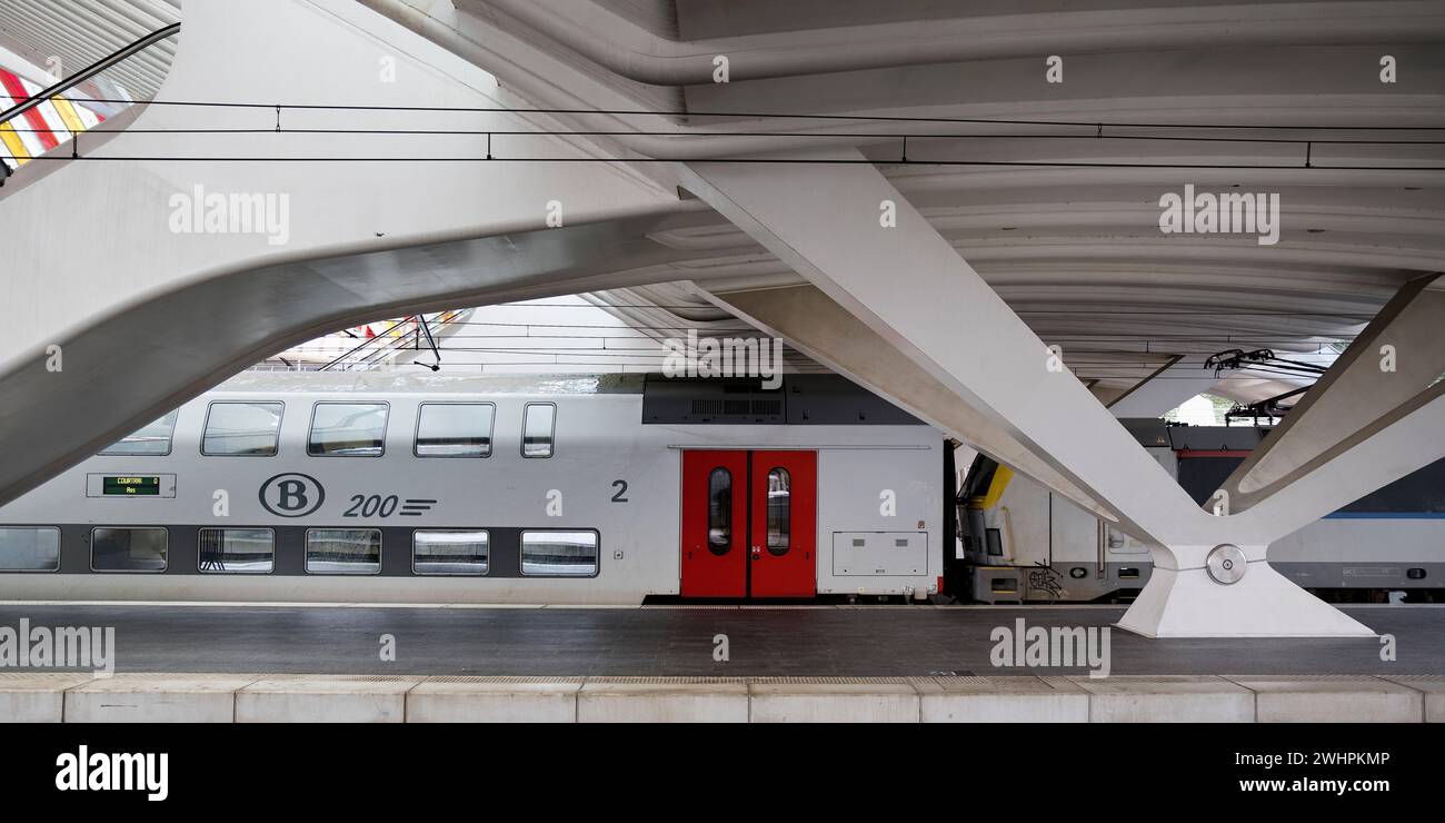 Zug im Bahnhof LiÃ¨ge-Guillemins, moderne Architektur, LiÃ¨ge, Wallonien, Belgien, Europa Stockfoto