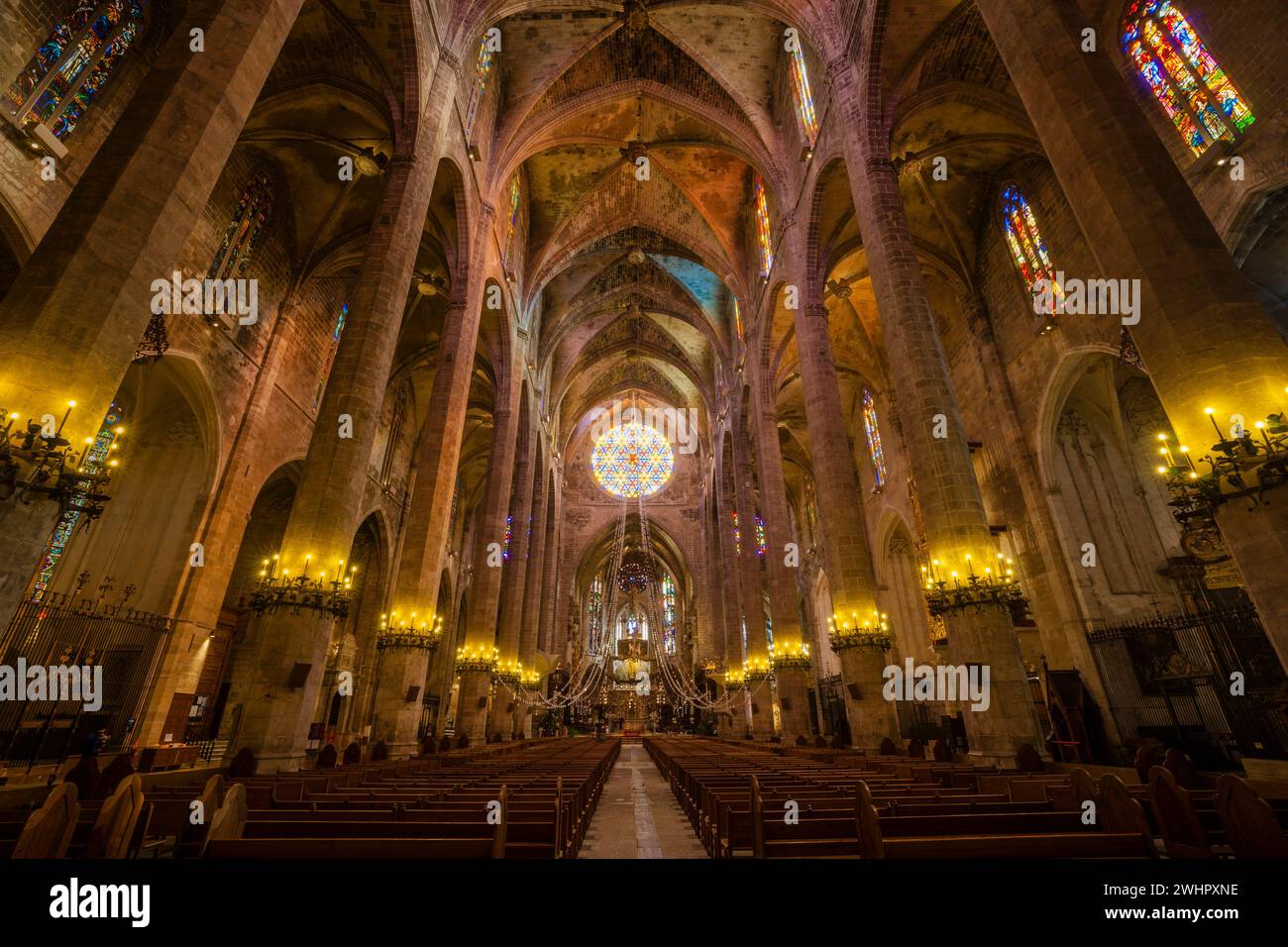 Kathedrale von Mallorca Stockfoto