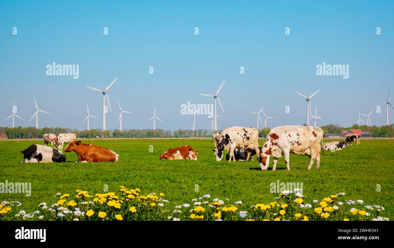 Windmühle in einer ländlichen Gegend bei Sonnenuntergang Stockfoto