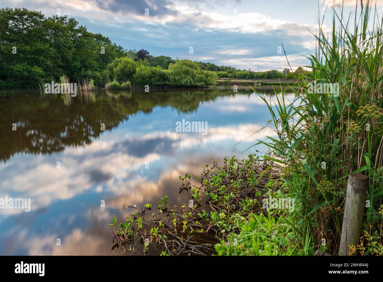 Mill Park und Mill Pond in Bracknell, Berkshire. Sonnenuntergang, goldene Stunde, lange Zeit ausgesetzt. Stockfoto