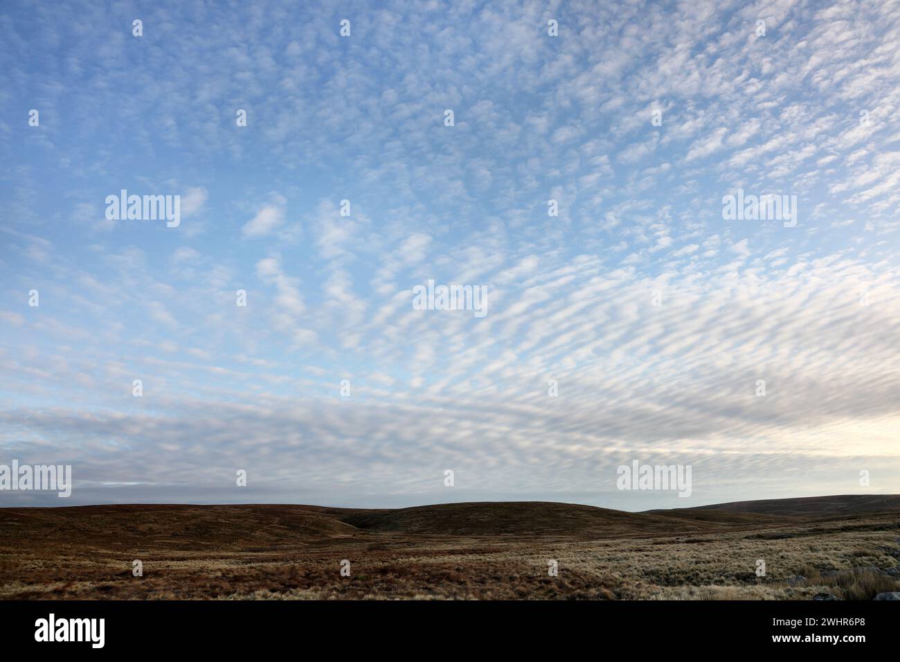 Makrele Sky. Das Auftreten solcher Wolken ist ein Zeichen für die bevorstehende Verschlechterung des Wetters, Yorkshire Dales, England, Großbritannien Stockfoto
