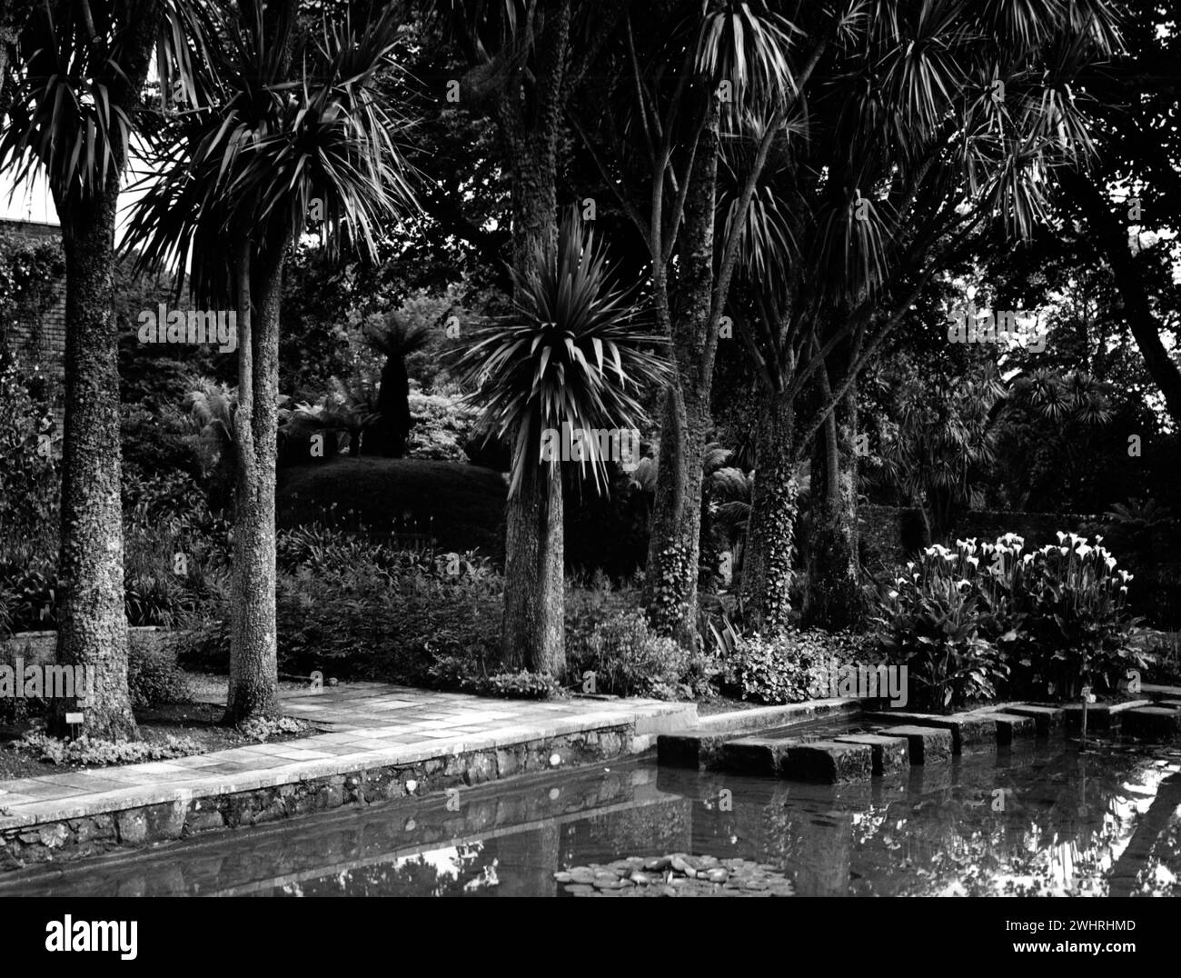 Port Logan Botanic Garden, Dumfries & Galloway, Schottland - 5. August 1978 Stockfoto