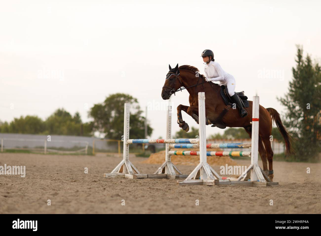 Seitenansicht eines Dressurpferdes im Gurtzeug mit Reiterjockey in Helm und weißer Uniform beim Springreiten. Stockfoto