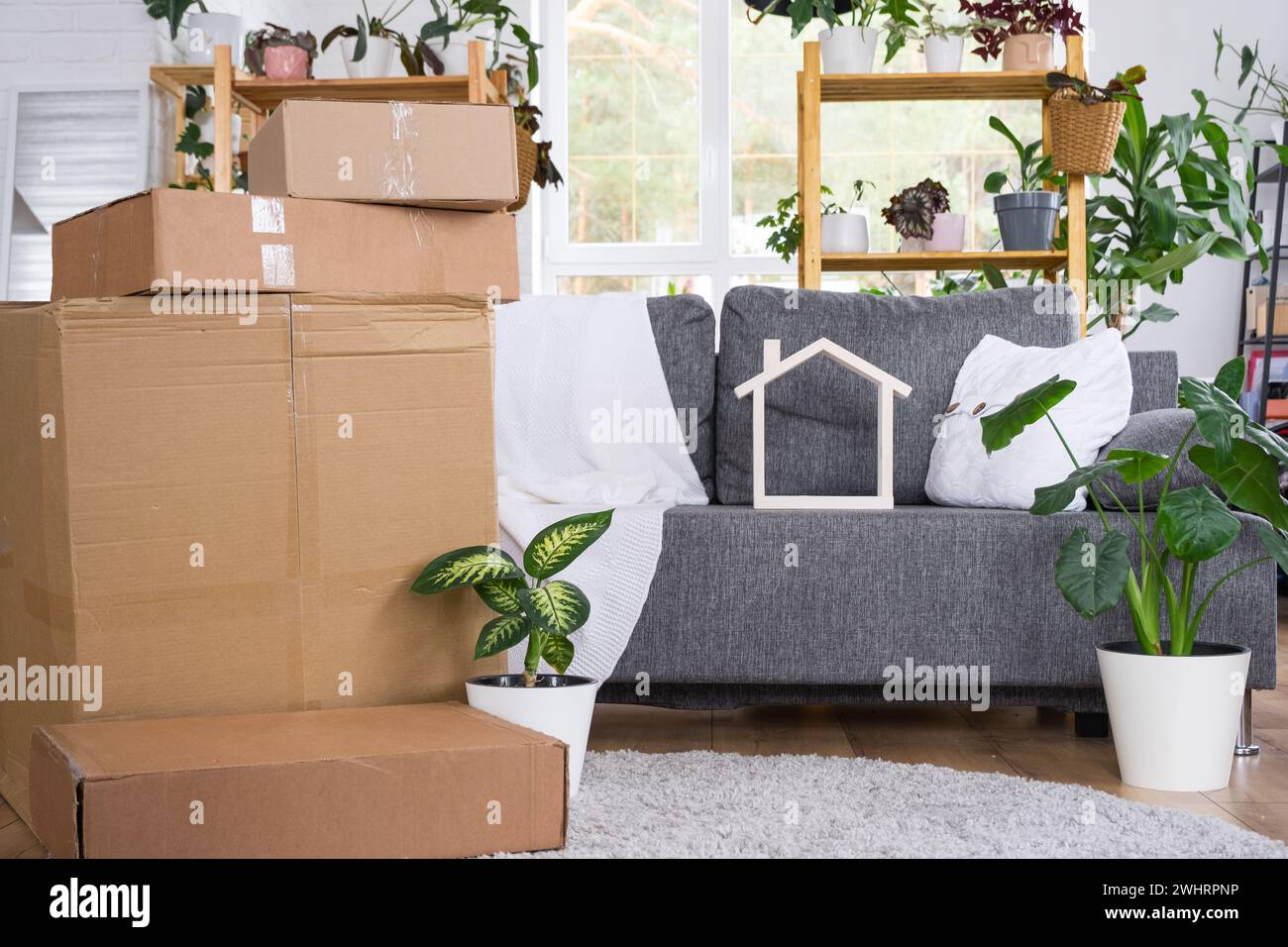 Im Zimmer des neuen Hauses befinden sich Kisten mit Sachen zum Umziehen und Haus Pflanzen. Einweihung, Familieneigentum, Frachttransport Stockfoto
