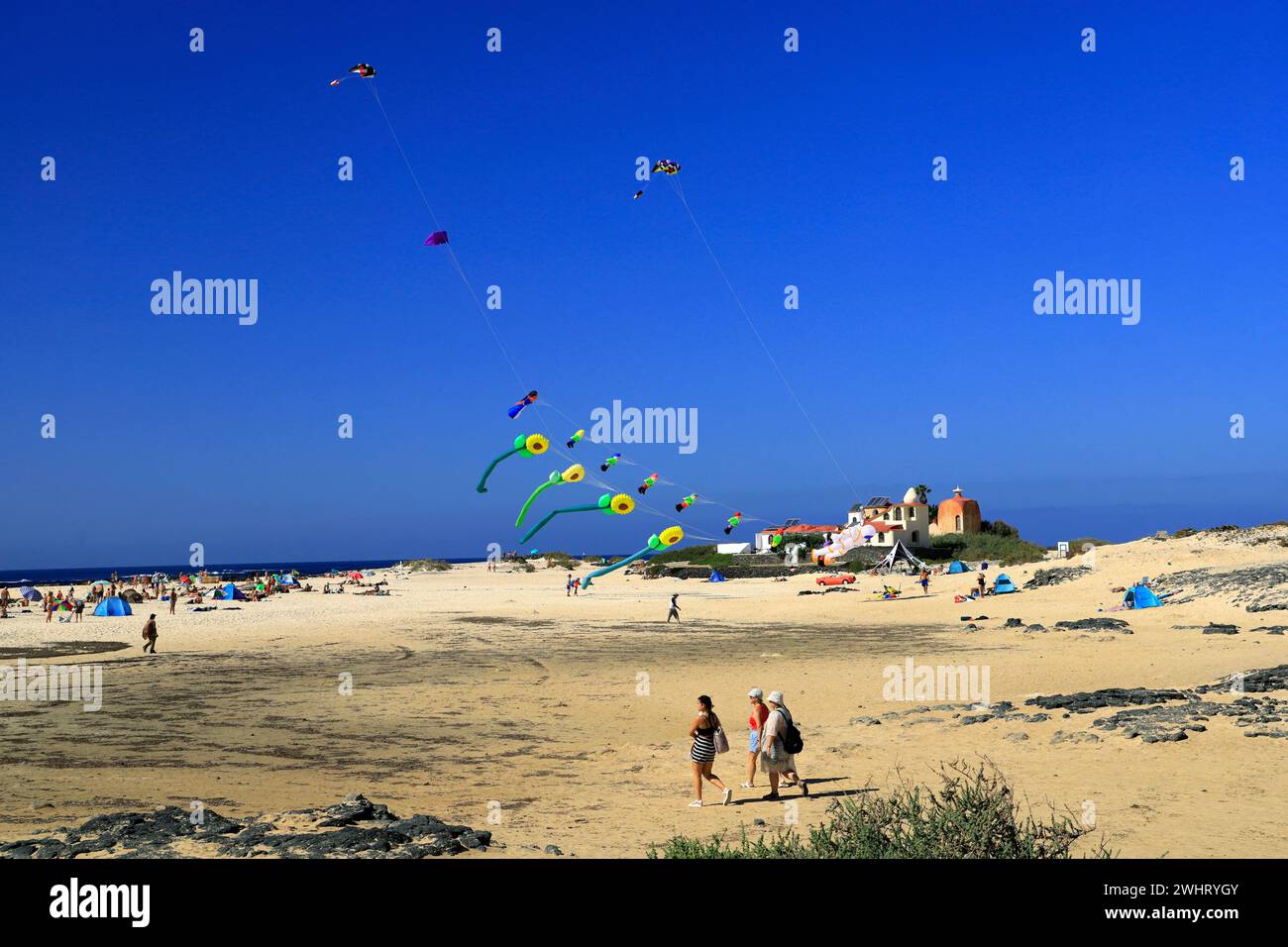 Drachenfliegen, Strand La Concha, El Cotillo, Fuerteventura, Kanarische Inseln, Spanien. Stockfoto