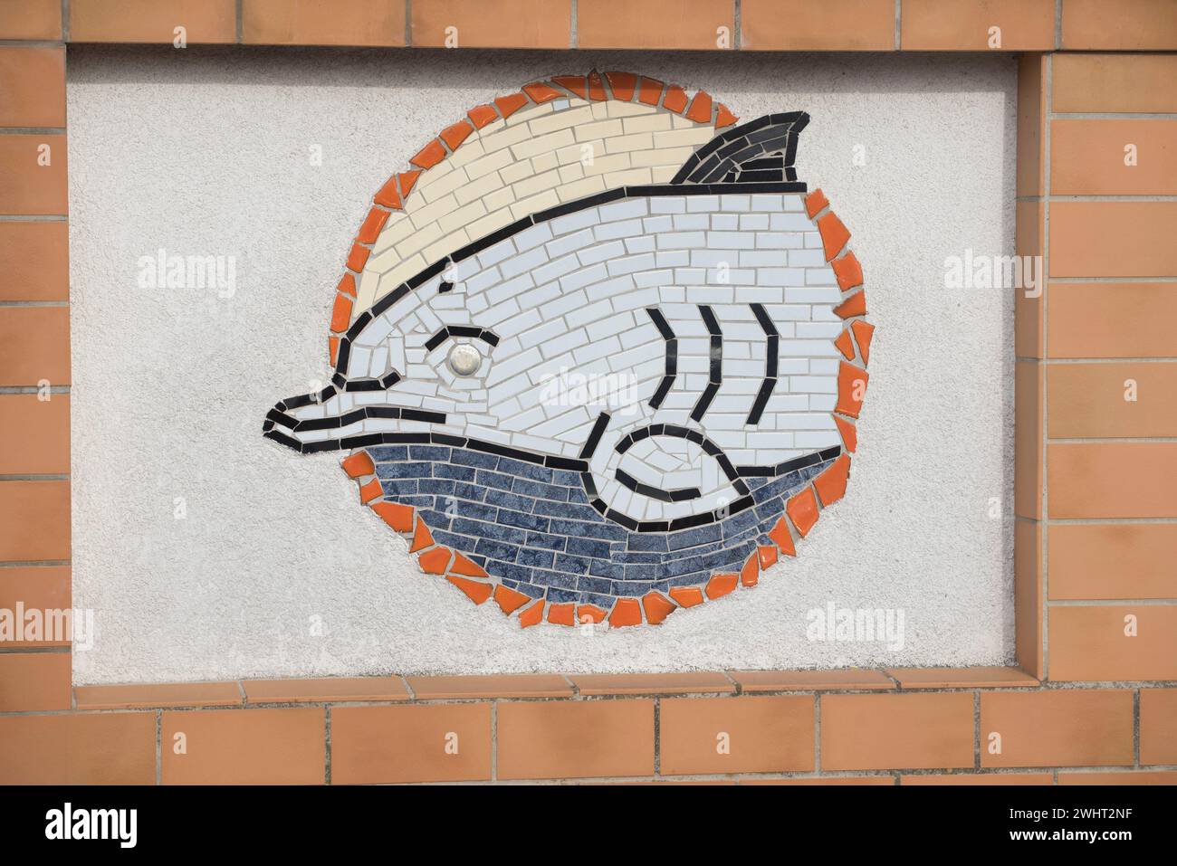 Ein Delfin ist ein Meerestier Stockfoto