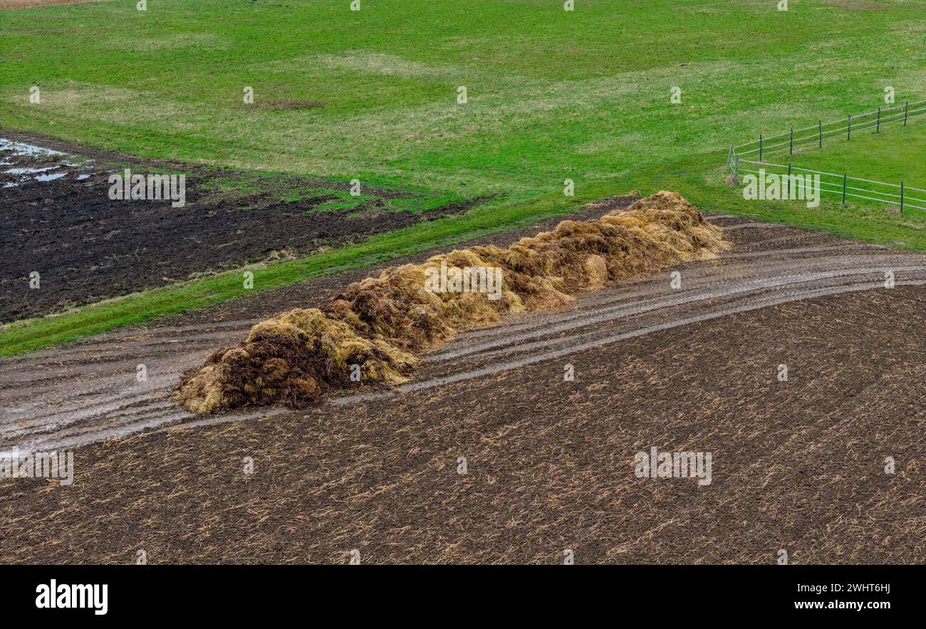 Düngerhaufen auf einem feuchten Feld im Winter mit Pfützen Stockfoto