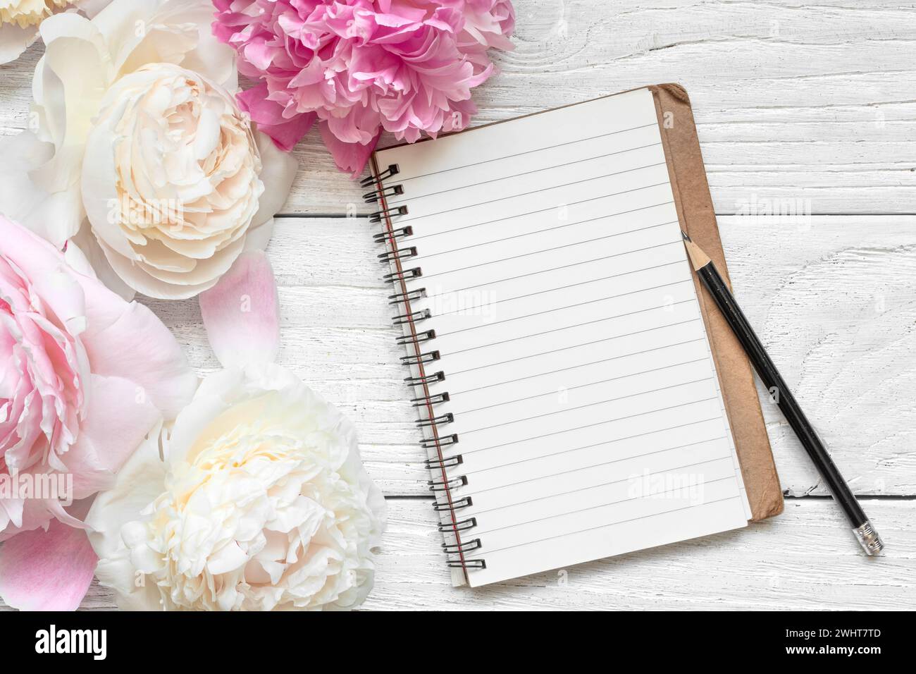 Pastellrosa und weiße Pfingstrosenblüten mit gefüttertem Papier-Notizbuch mit Bleistift auf weißem Holzhintergrund. Hochzeitseinladung. Mock-Up. Flache Lagen. Damen Stockfoto