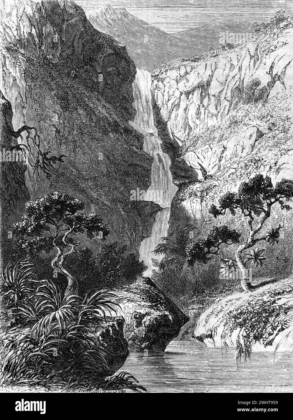Wasserfall oder Kaskade am Fluss oder Rivière des Galets Mauritius. Vintage oder historische Gravur oder Illustration 1863 Stockfoto