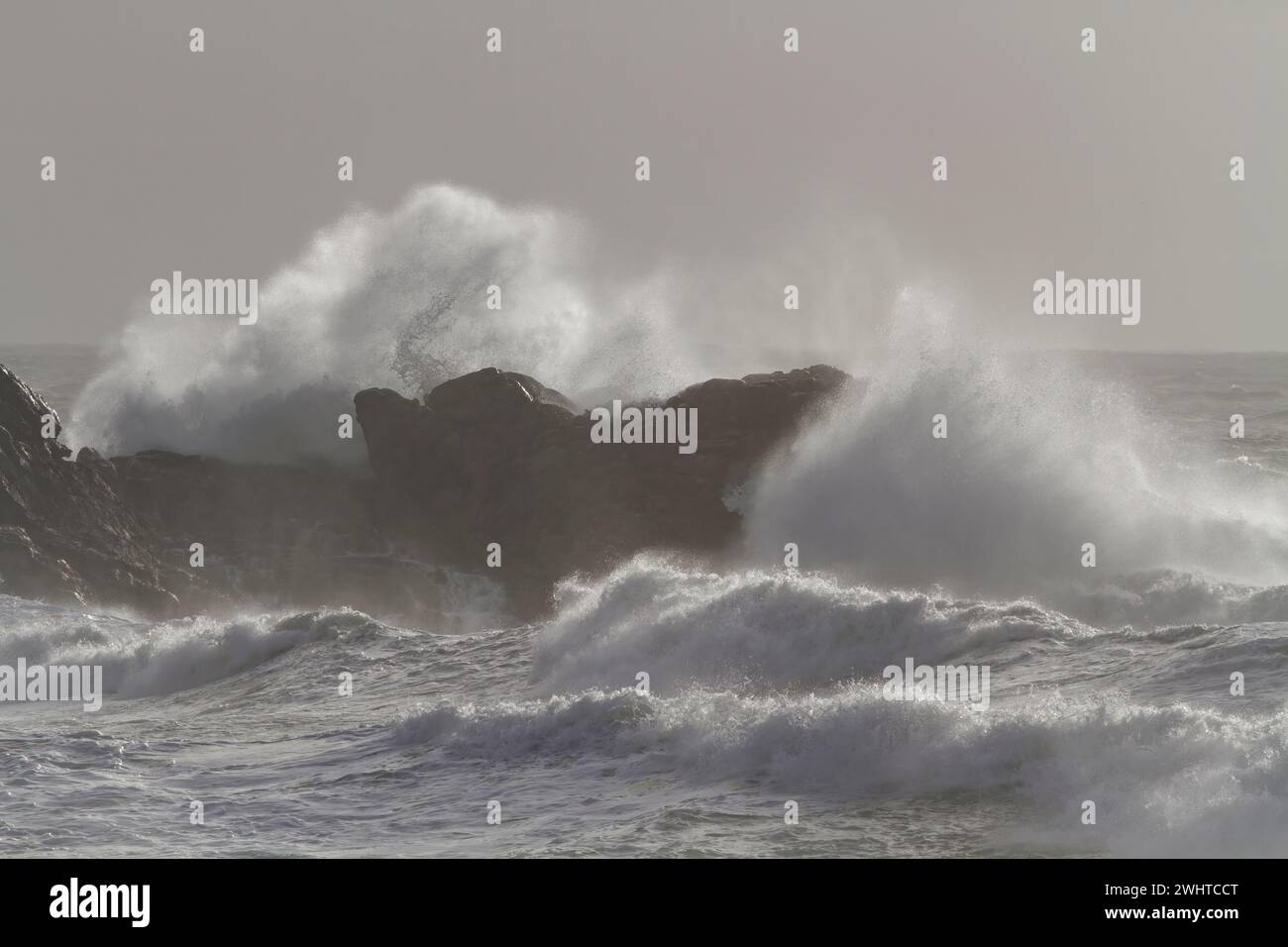 Meereswellen spritzen. nordportugiesische Felsküste. Winterabendlicht. Stockfoto