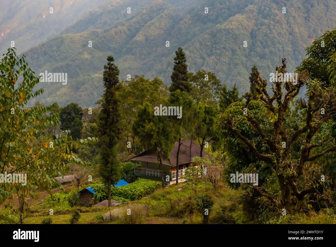 Ein typisches nepalesisches Dorf in Yamphudin, Khebang, Taplejung, Nepal Stockfoto