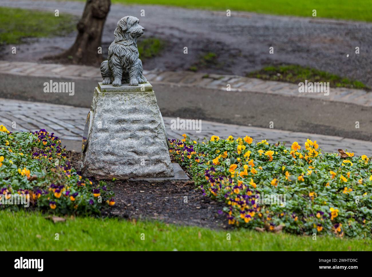 Greyfriars Bobby-Hund-Statue in Greyfriars Kirkyard, Edinburgh, Schottland, Großbritannien Stockfoto