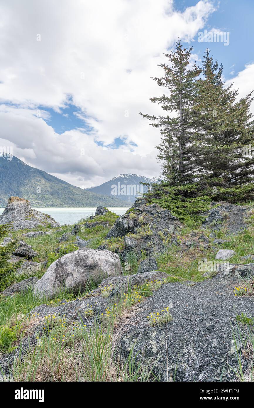 Kelgaya Point im Chilkat State Park, Haines, Alaska, USA Stockfoto