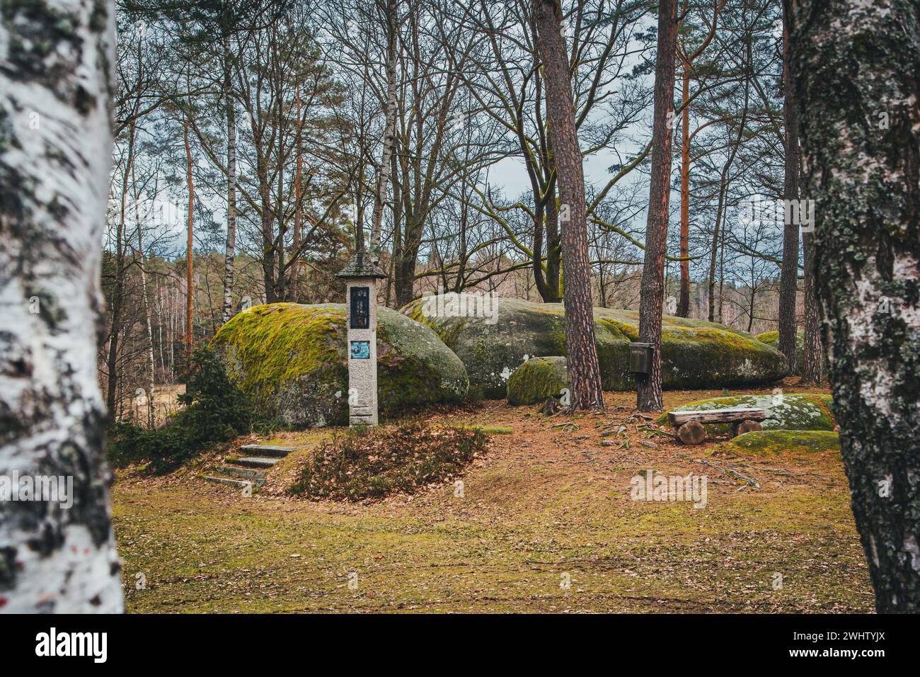 Granitblöcke im Naturpark Blockheide, Gmünd, Waldviertel, Österreich Stockfoto