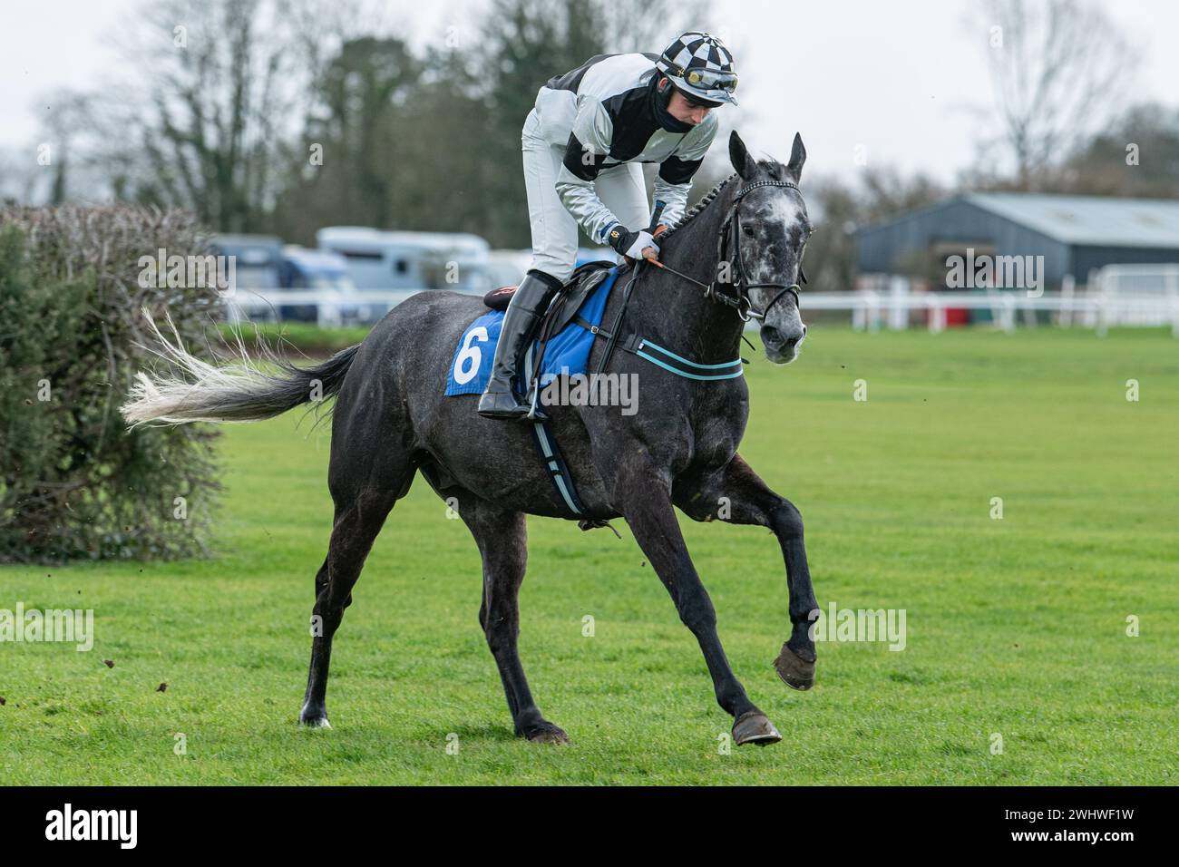 Erstes Rennen in Wincanton 19. Februar 2022 - Neuling Hürde Stockfoto