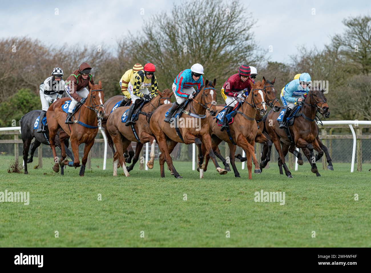 Erstes Rennen in Wincanton 19. Februar 2022 - Neuling Hürde Stockfoto