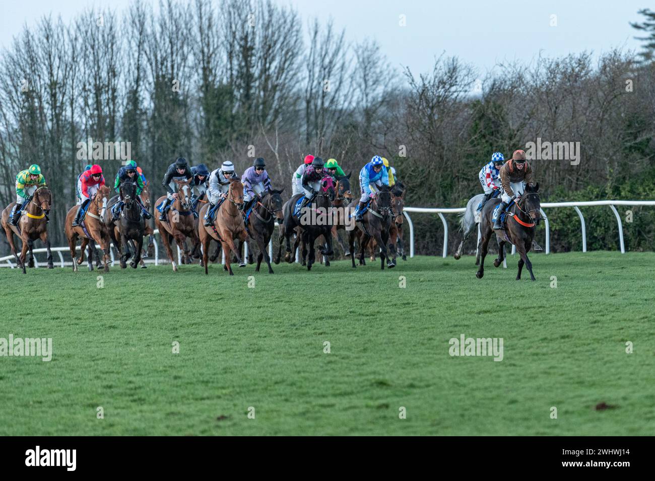 Siebtes Rennen in Wincanton, 19. Februar 2022 Stockfoto