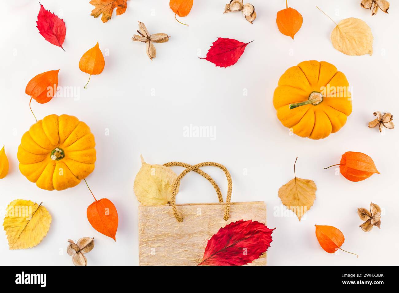 Werbevorlage Herbstherbstliche Thanksgiving-Angebot Stockfoto